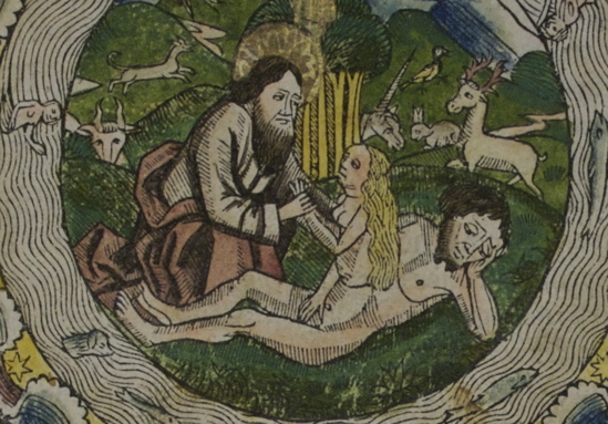 eve-koberger eve-koberger