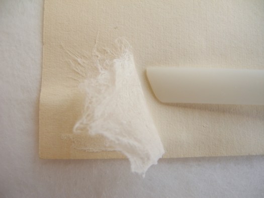 Image courtesy Joan Weir