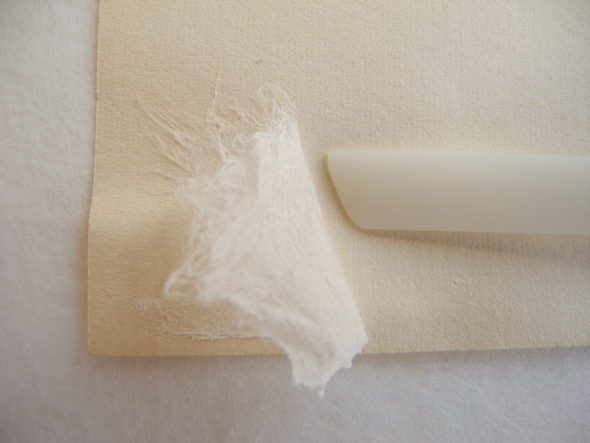 Image courtesy Joan Weir